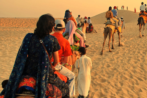 camel-safari-tour-silvertone-tours