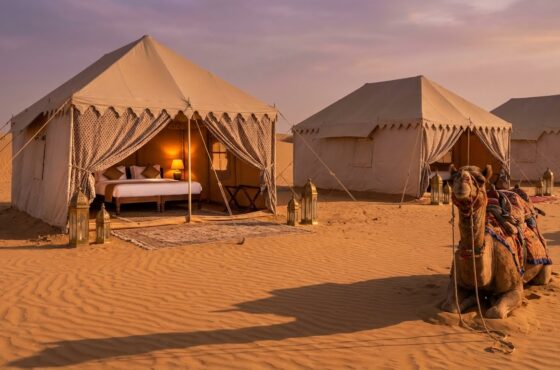 2 Nights and 3 Days Jaisalmer New Year Package
